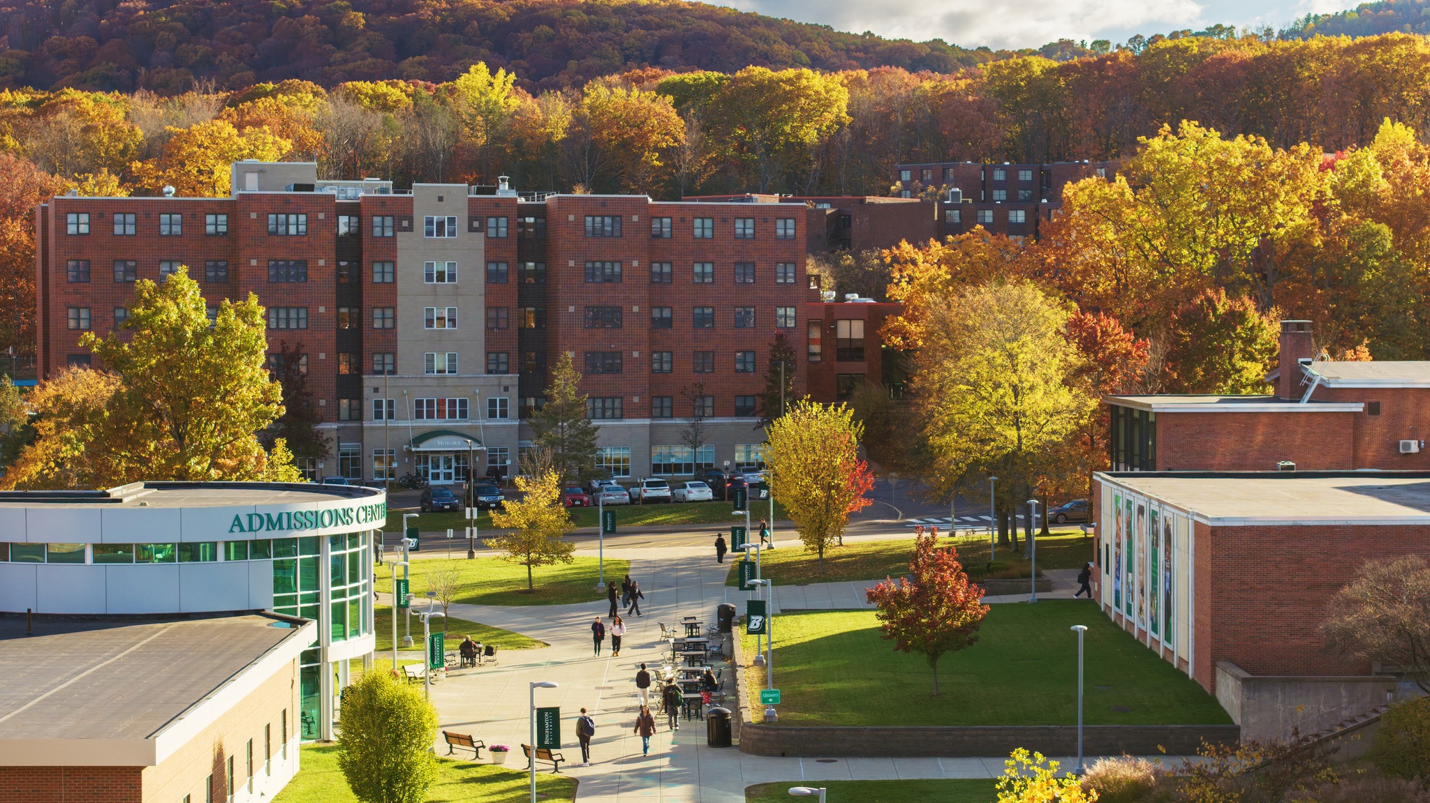 Board and governance practices